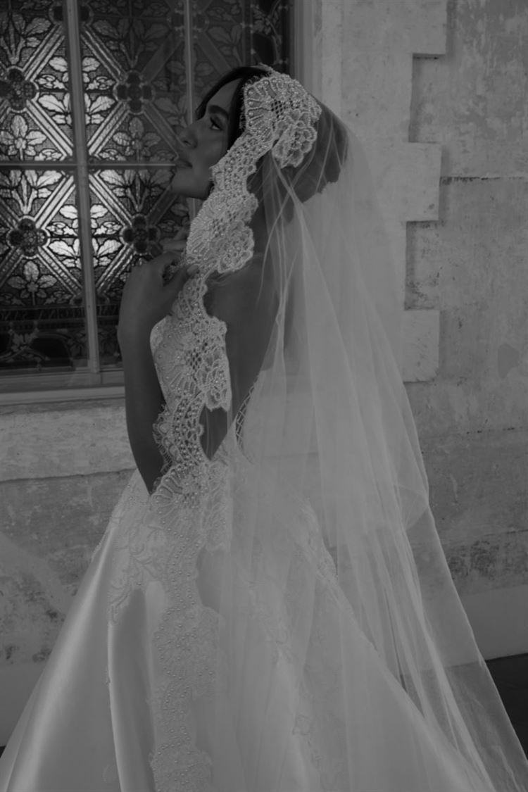 צילום: עידן חסון