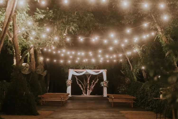 צילום: סשה קוזלוב