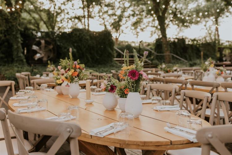 צילום: סשה קוזלוב