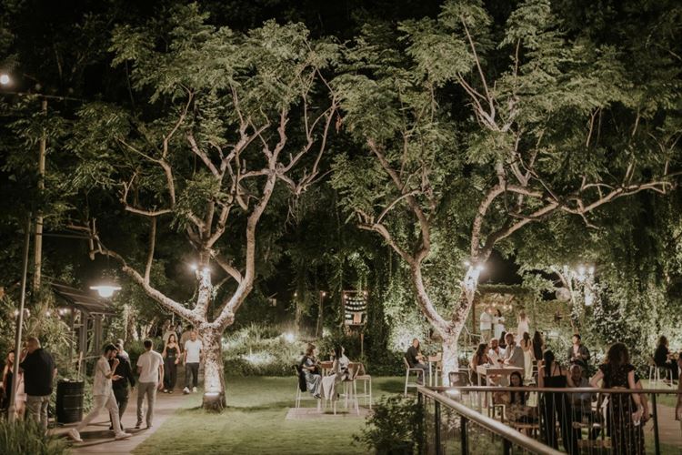 צילום: סשה קוזלוב