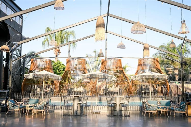 צילום: אלון גרובר