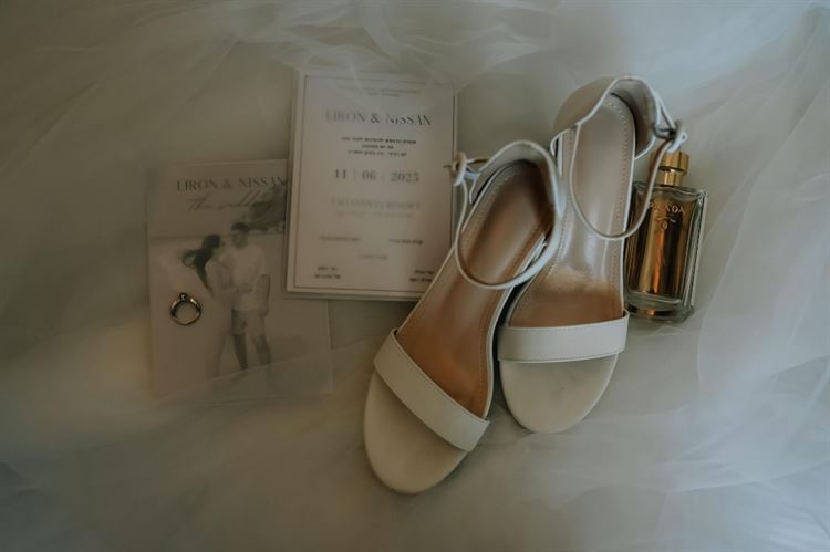 צילום: אלון גרובר