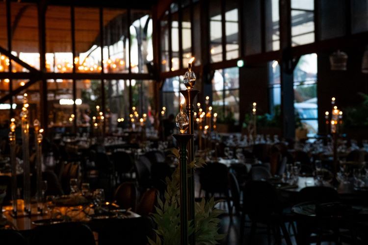 צילום: אלון גרובר