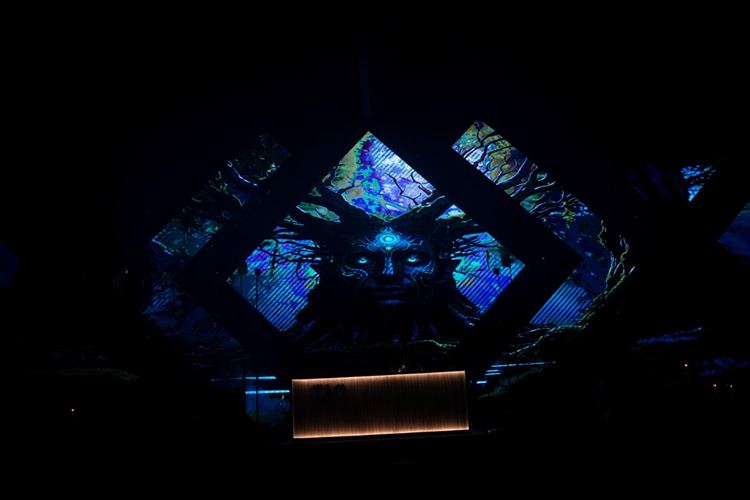 צילום: אלון גרובר