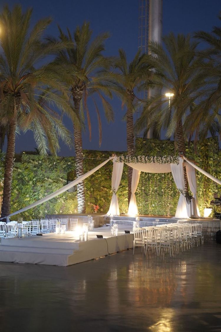 צילום: שי שושן