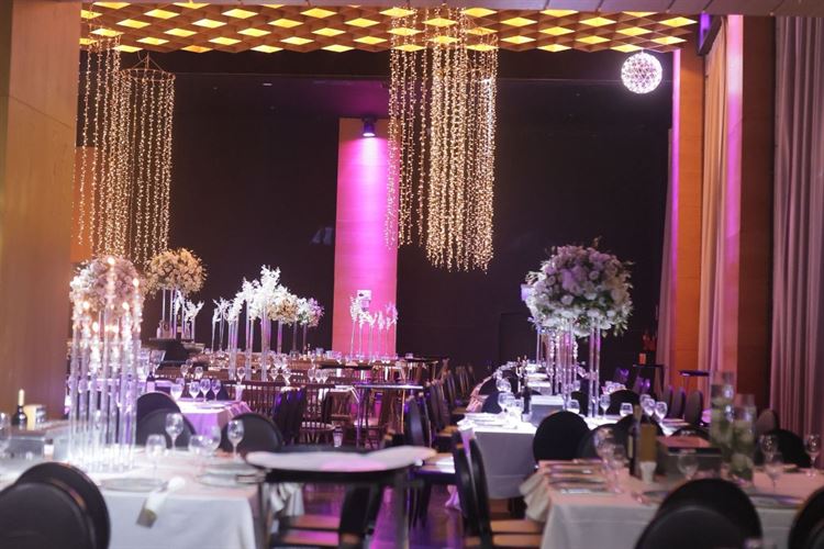 צילום: שי שושן