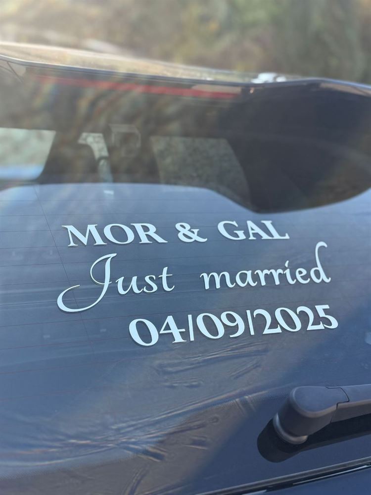 צילום: שי שושן