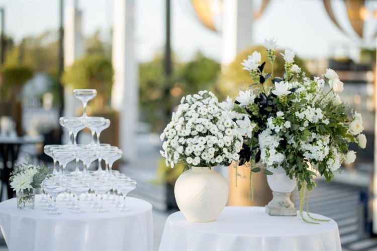 צילום: אור שדה, ברנדו צילום