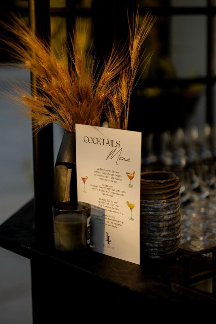 צילום: אור שדה, ברנדו צילום