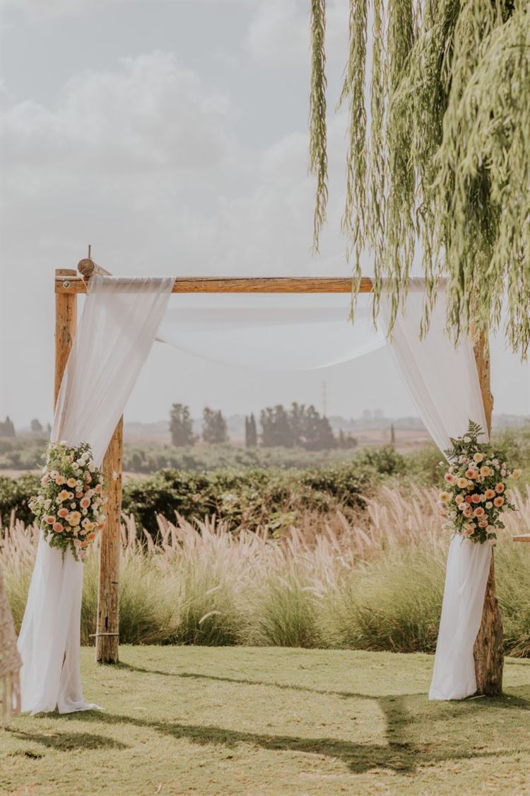 צילום: סשה קוזלוב