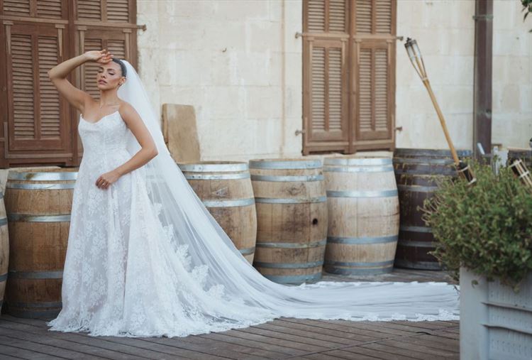 צילום: חיים אביב