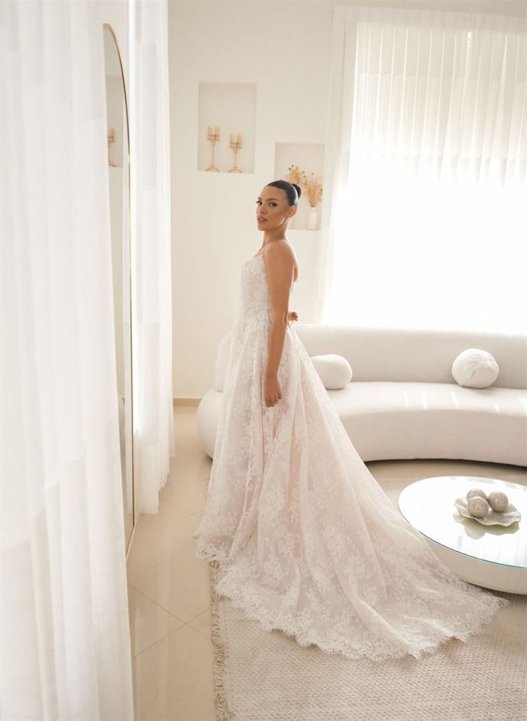 צילום: חיים אביב