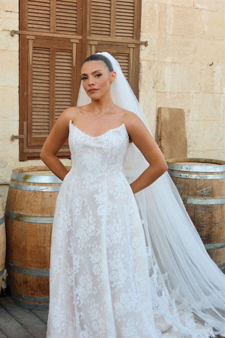 צילום: חיים אביב