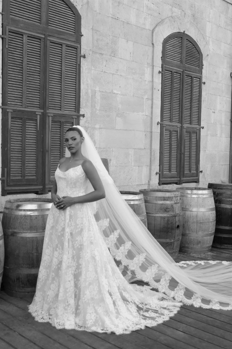 צילום: חיים אביב