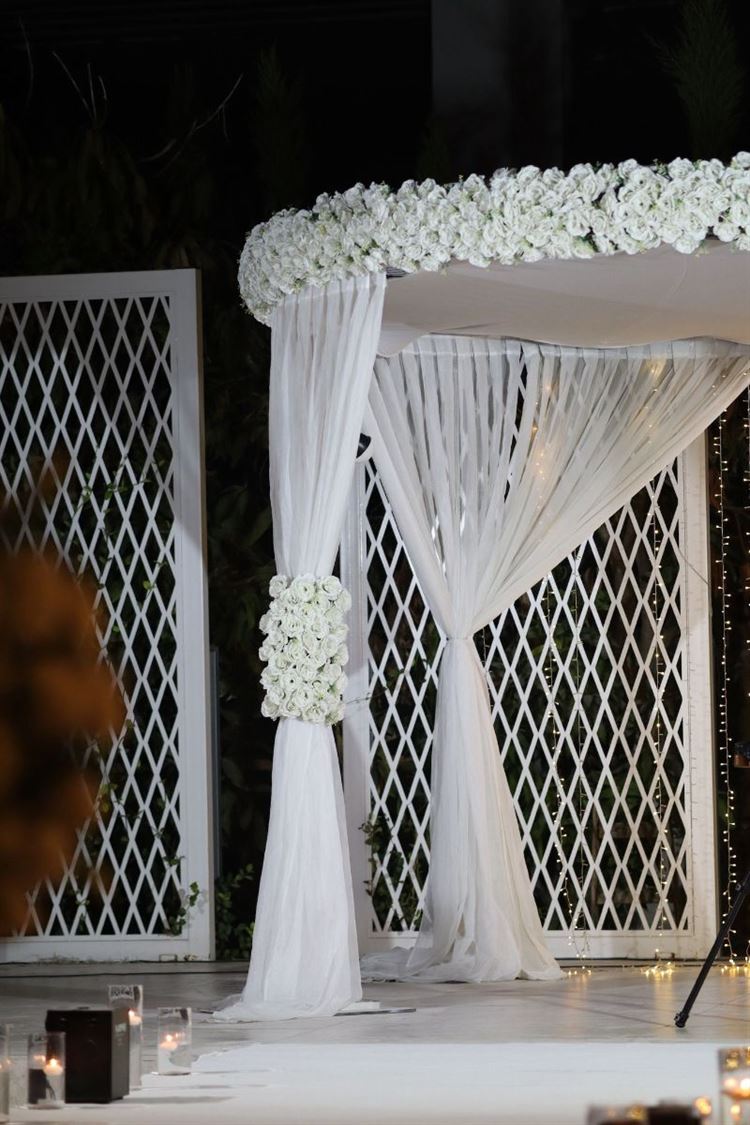 צילום: דור סוויסה