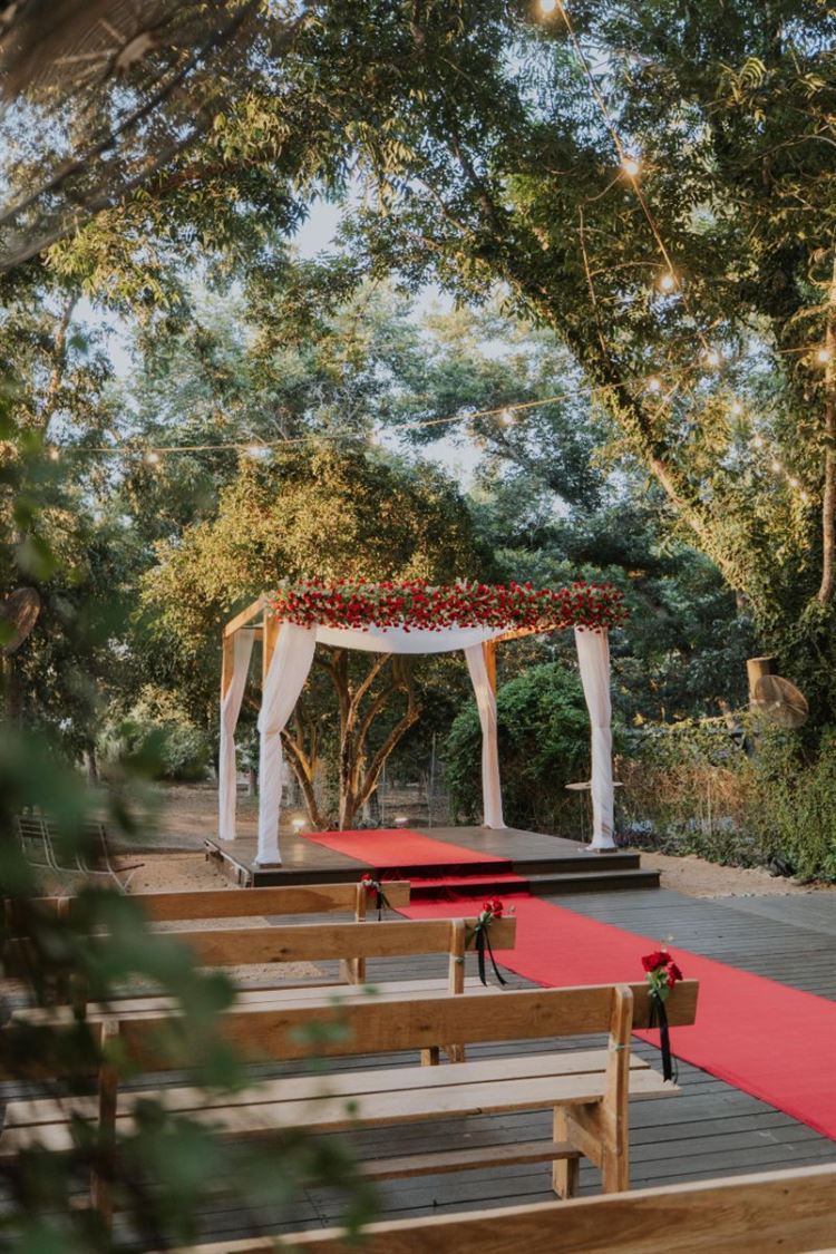 צילום: שחר זיסו