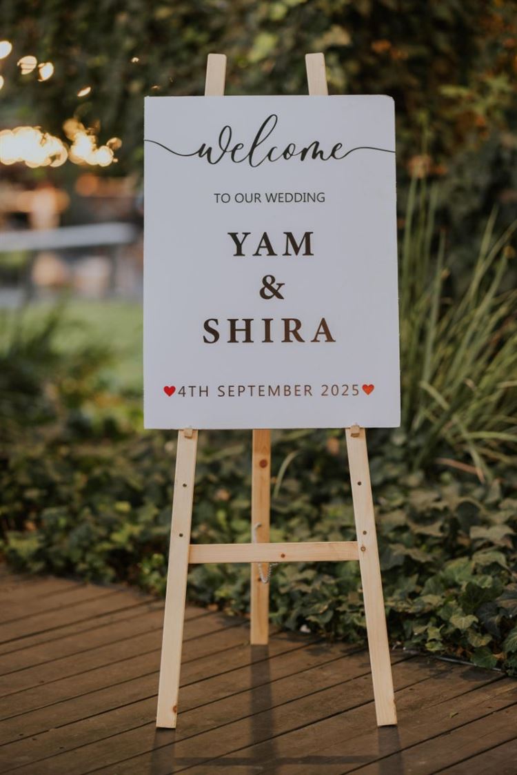 צילום: שחר זיסו