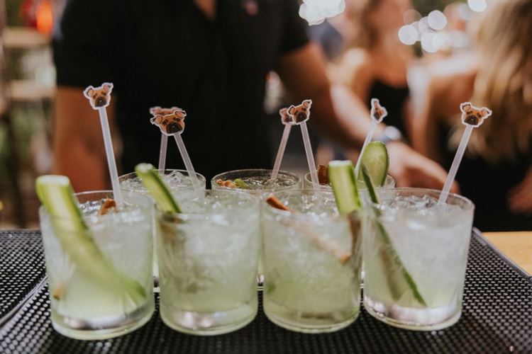 צילום: שחר זיסו