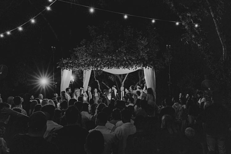 צילום: שחר זיסו