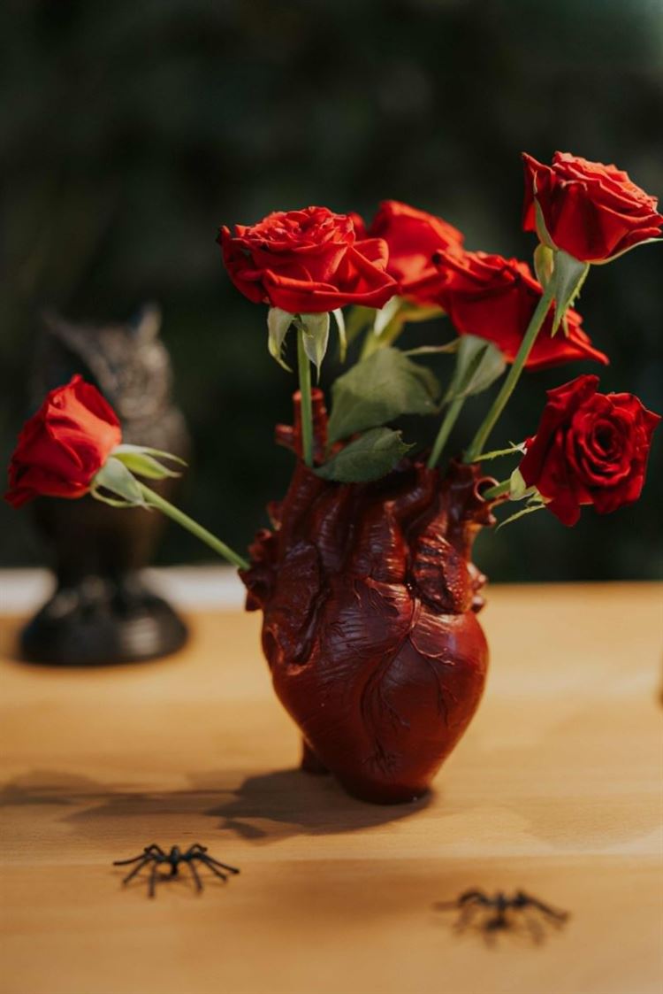 צילום: שחר זיסו