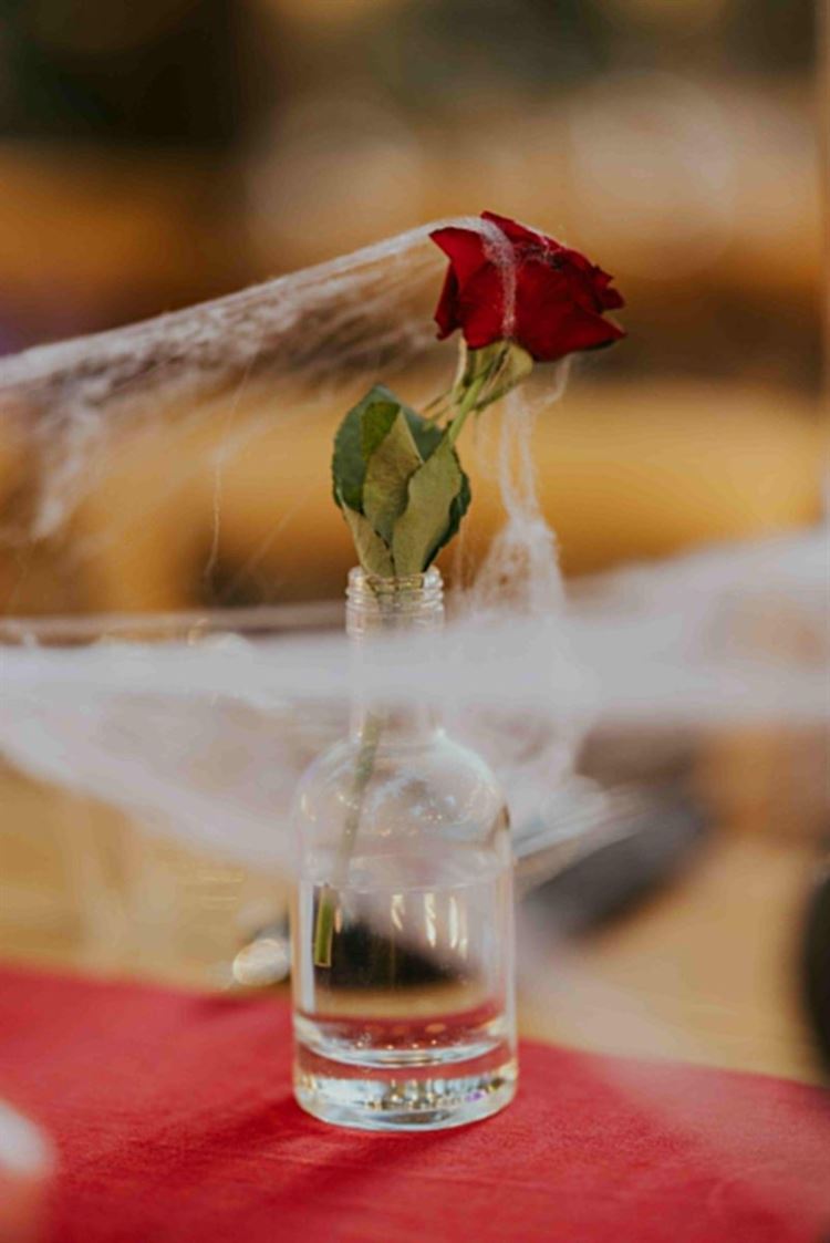 צילום: שחר זיסו