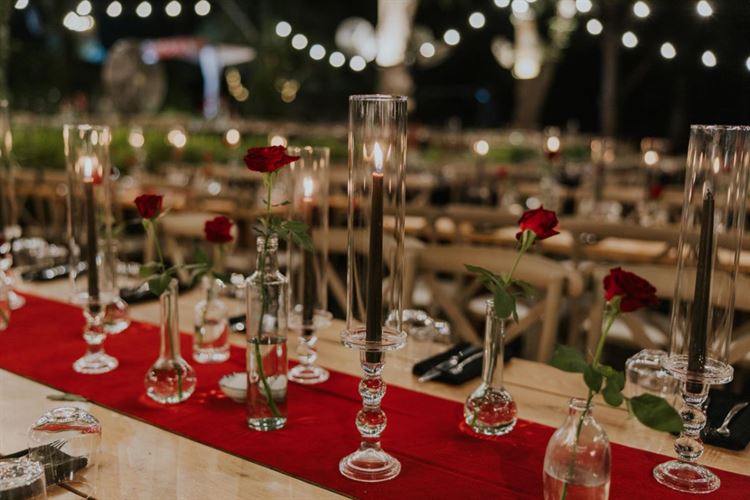 צילום: שחר זיסו