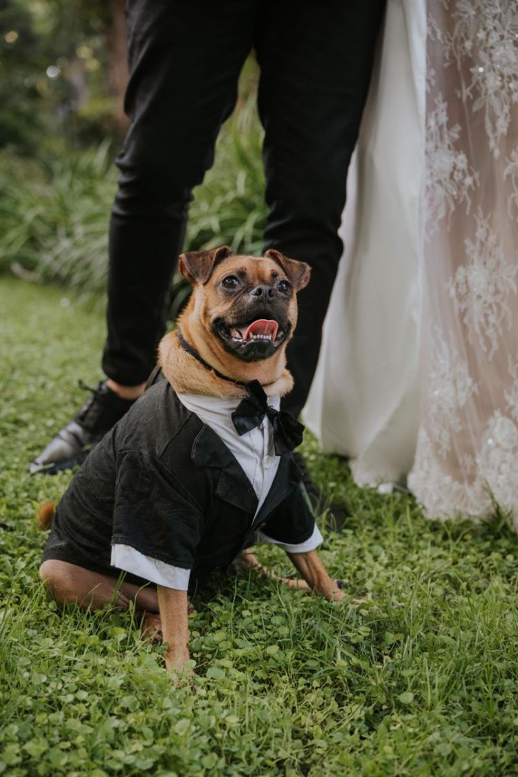 צילום: שחר זיסו