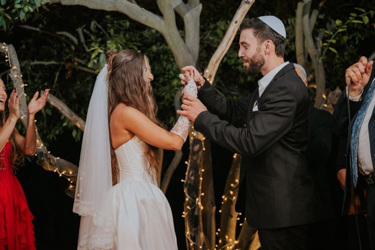 צילום: שחר זיסו