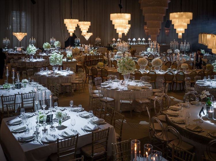 צילום: דור סויסה