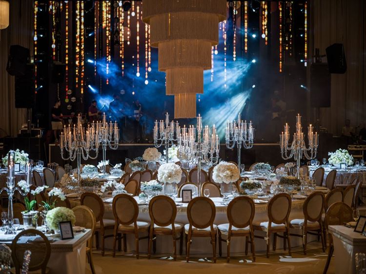 צילום: דור סויסה