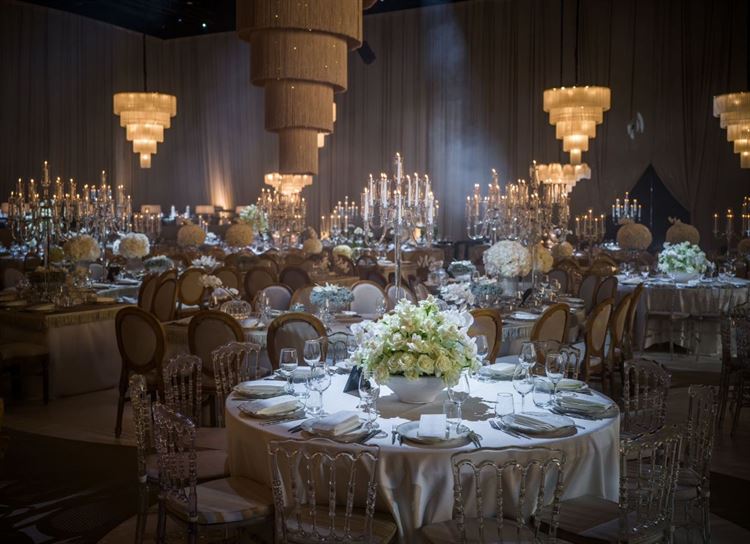 צילום: דור סויסה