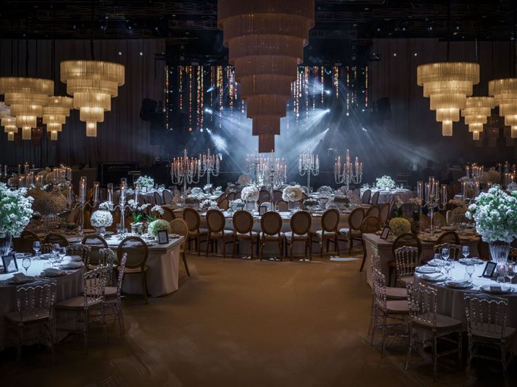 צילום: דור סויסה