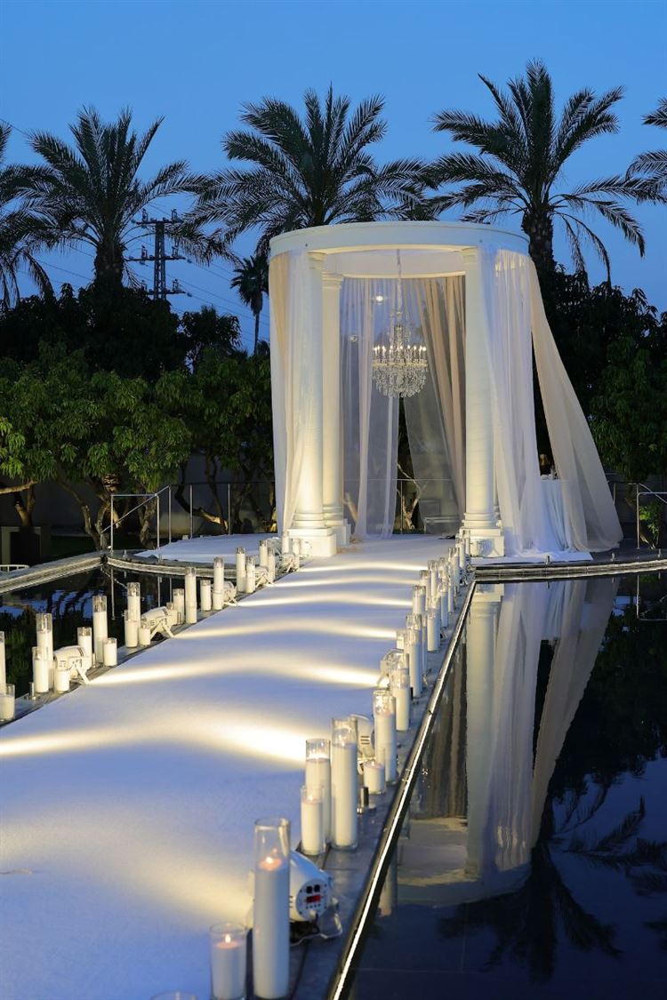 צילום: דור סויסה