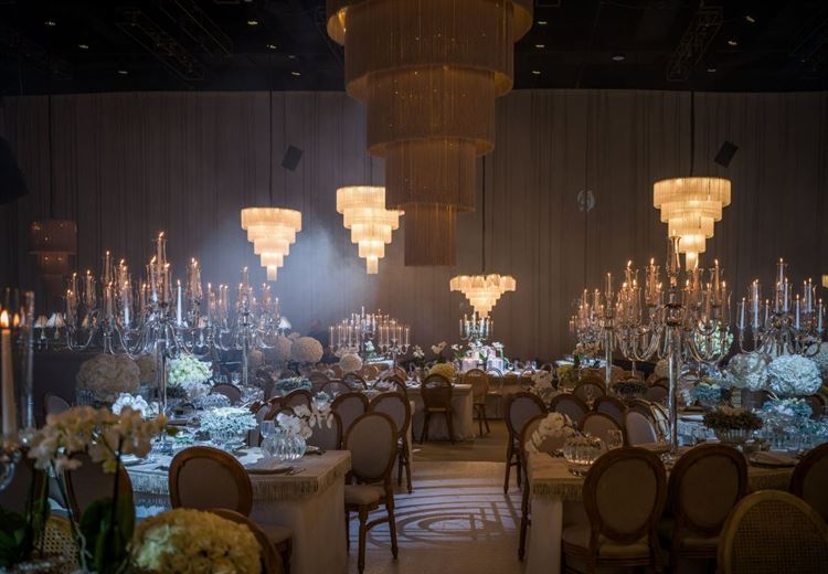 צילום: דור סויסה