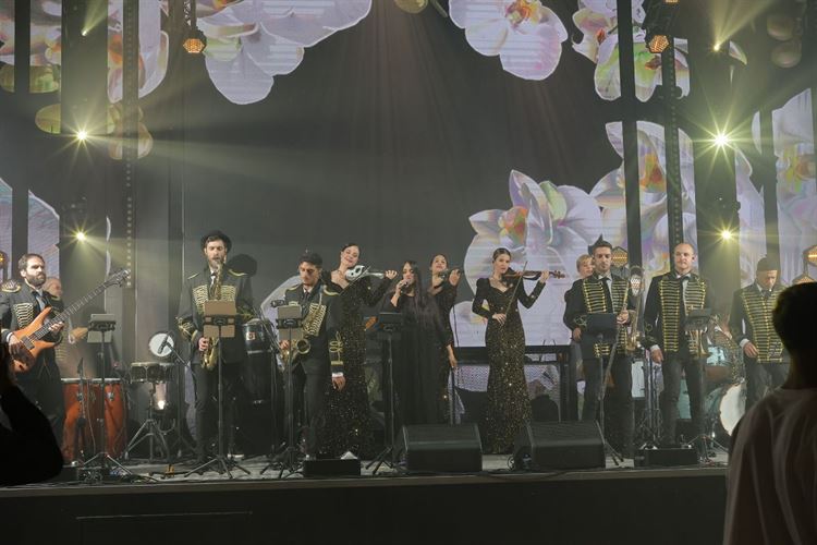 צילום: דור סויסה