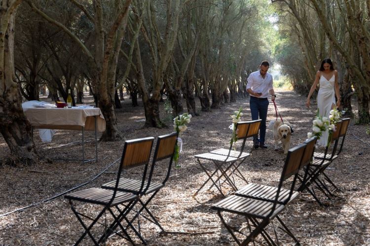 צילום: רמה שפי