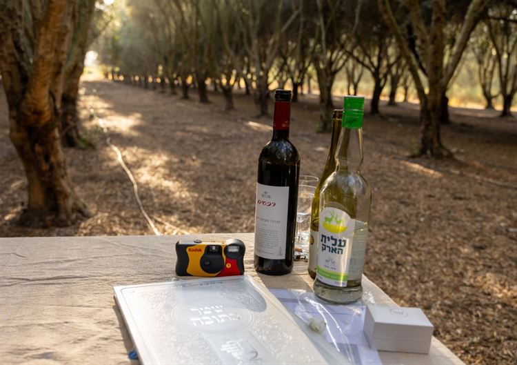 צילום: רמה שפי