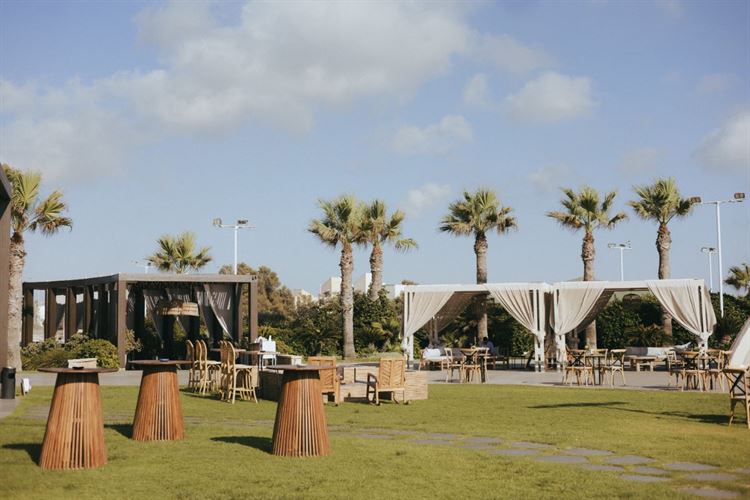 צילום: שני רייך