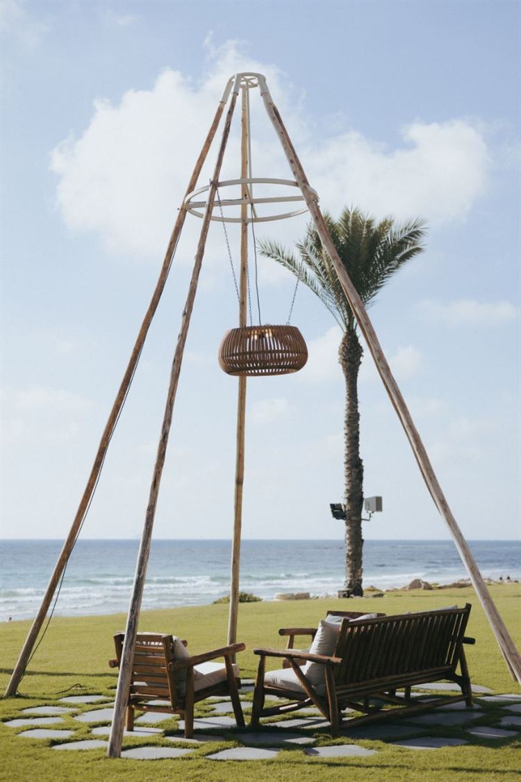 צילום: שני רייך