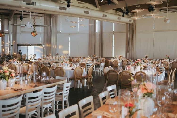 צילום: שני רייך