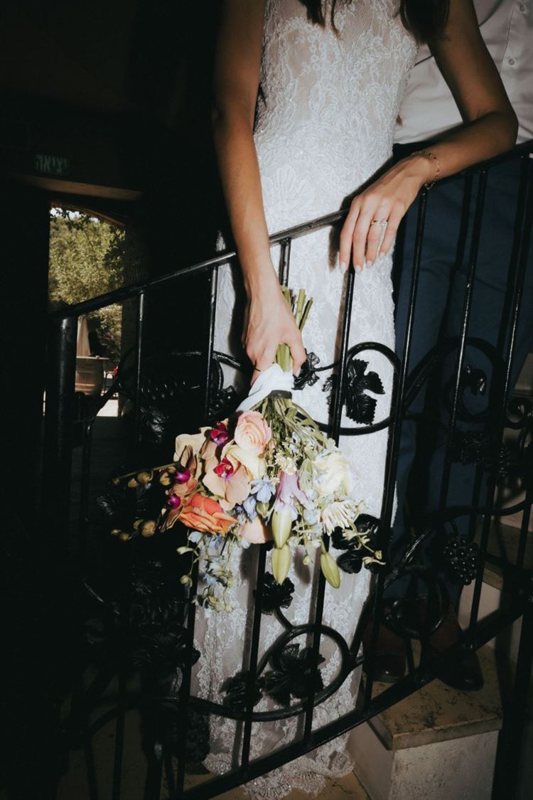 צילום: שני רייך