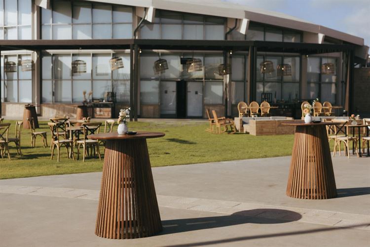 צילום: שני רייך