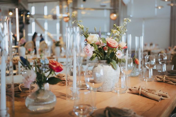 צילום: שני רייך