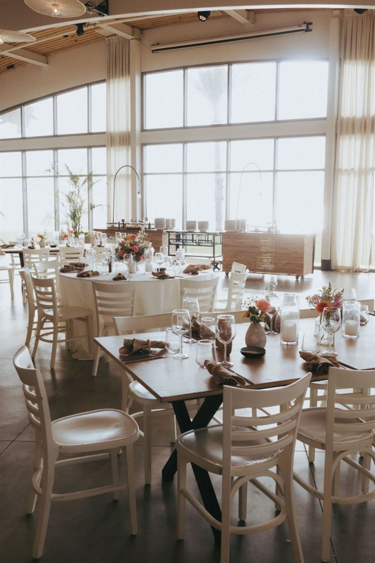 צילום: שני רייך