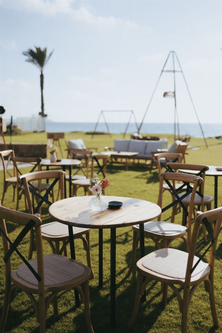 צילום: שני רייך