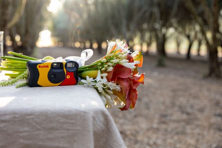 צילום: רמה שפי