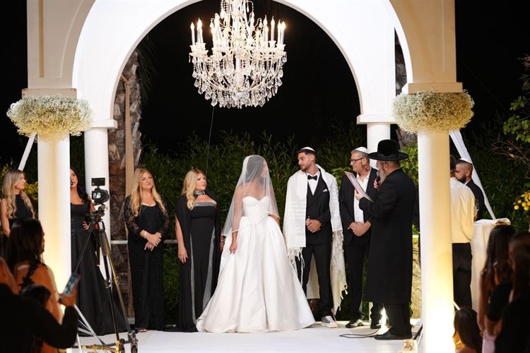 צילום: Camellia - art photography