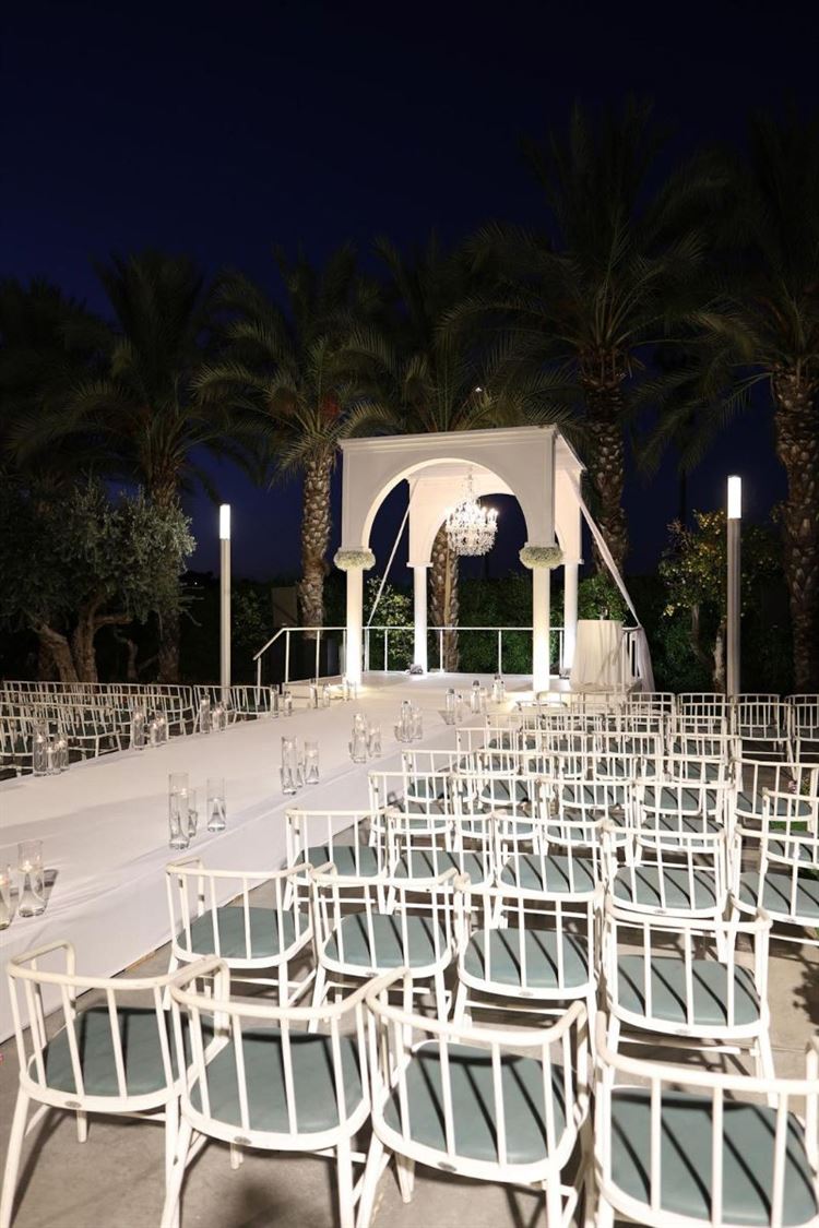 צילום: Camellia - art photography