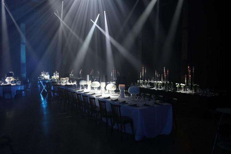 צילום: Camellia - art photography