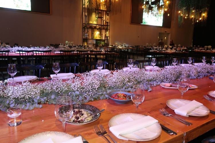 צילום: בראשית - מיכאל ואיתן